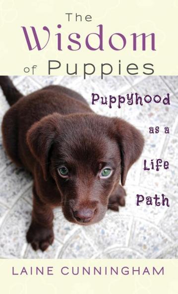 The Wisdom of Puppies: Puppyhood as a Life Path: 2 (Wisdom for Life)