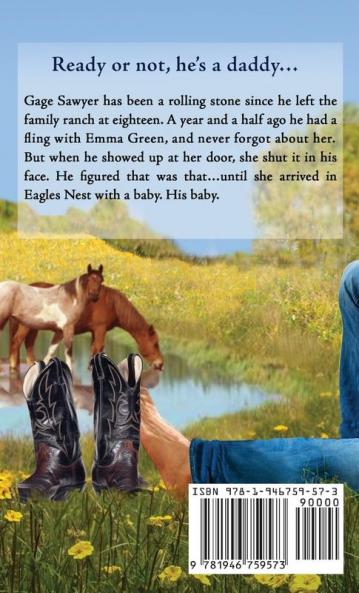 A Cowboy's Baby: 11 (McGavin Brothers)