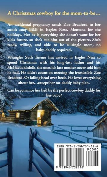 A Cowboy's Homecoming: 17 (McGavin Brothers)