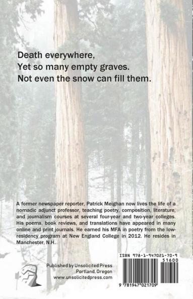 Poems for a Winter Afternoon