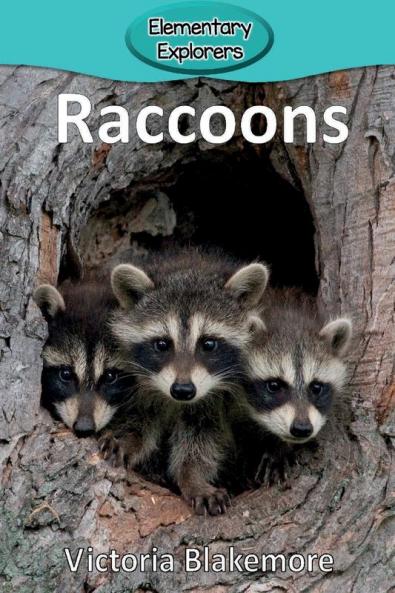 Raccoons: 16 (Elementary Explorers)