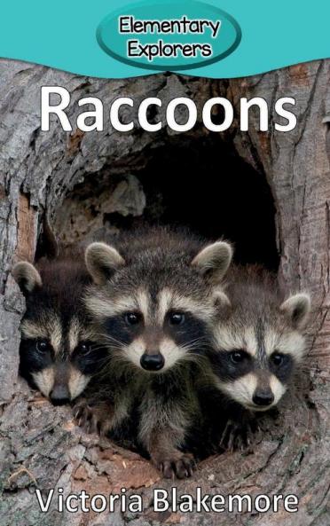 Raccoons: 16 (Elementary Explorers)