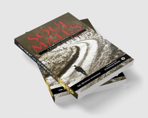 Soulmates : A Panoramic Journey of LIFE