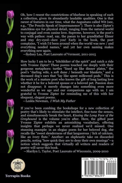 Kissing the Long Face of the Greyhound