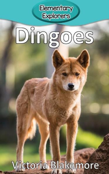 Dingoes: 74 (Elementary Explorers)