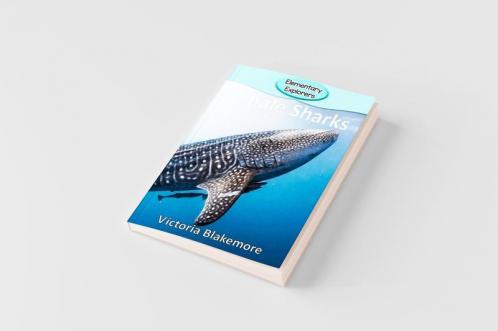 Whale Sharks