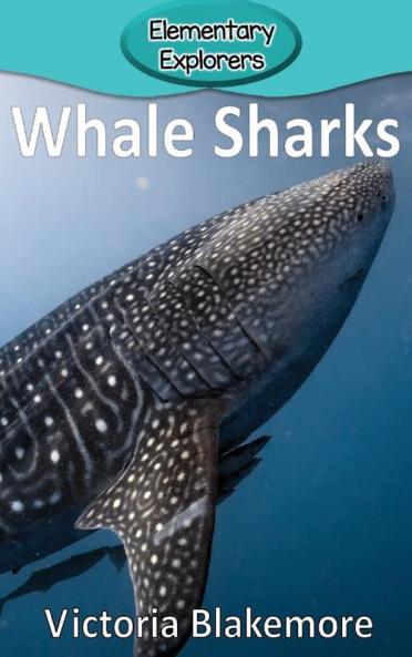 Whale Sharks