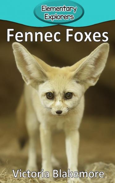 Fennec Foxes: 93 (Elementary Explorers)