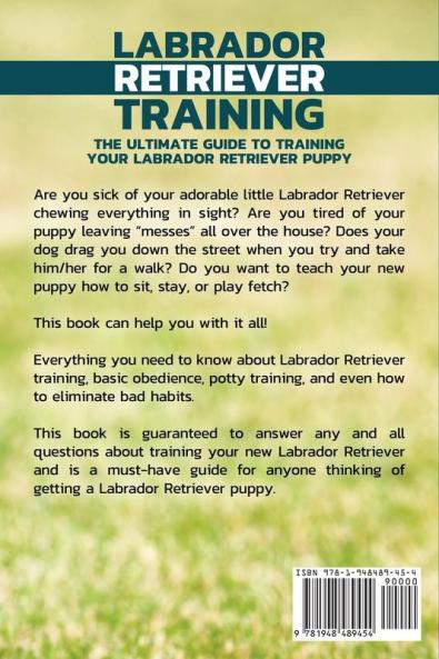 Labrador Retriever Training