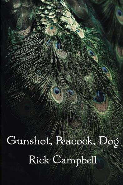 Gunshot Peacock Dog