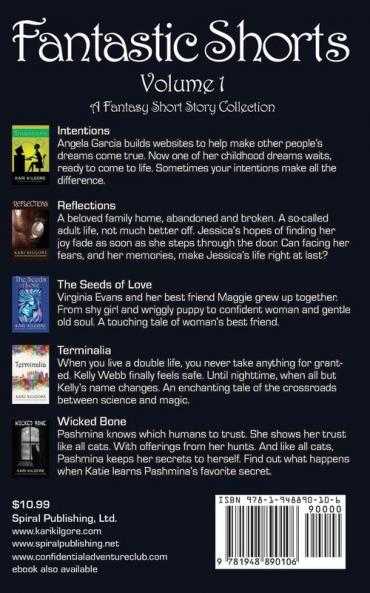 Fantastic Shorts: Volume 1: A Fantasy Short Story Collection
