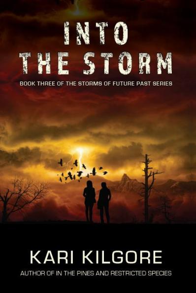 Into the Storm: 3 (Storms of Future Past)