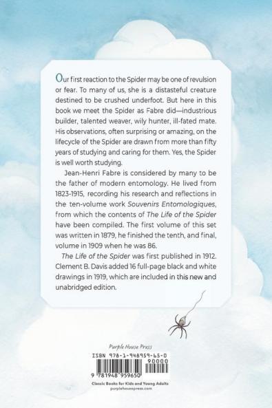 The Life of the Spider
