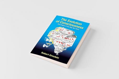 The Evolution of Consciousness