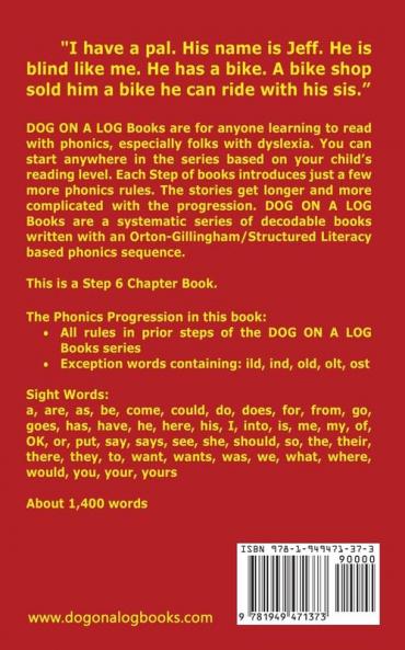 The Gold Bolt Chapter Book: Sound-Out Phonics Books Help Developing Readers including Students with Dyslexia Learn to Read (Step 6 in a Systematic ... Books): 27 (Dog on a Log Chapter Books)