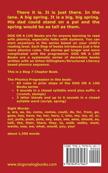 The Spring In The Lane Chapter Book: Sound-Out Phonics Books Help Developing Readers including Students with Dyslexia Learn to Read (Step 7 in a ... Books): 33 (Dog on a Log Chapter Books)
