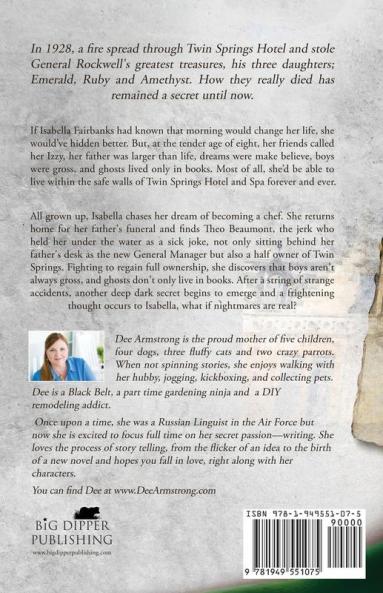 Visions of Emerald: The Mystery of the Three Gems Book One: 1 (A Twin Springs Trilogy)