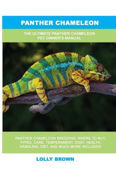 Panther Chameleon