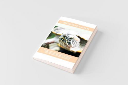 Reeves Turtle as Pets