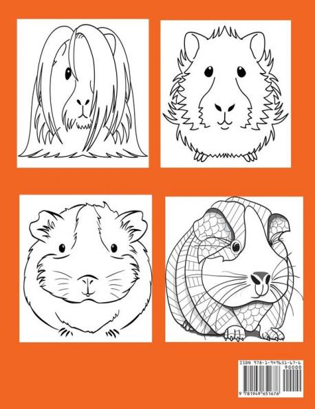 Guinea Pigs Coloring Book
