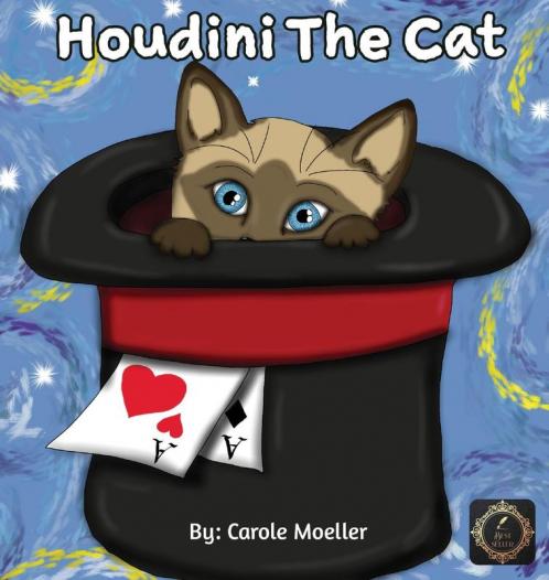 Houdini The Cat