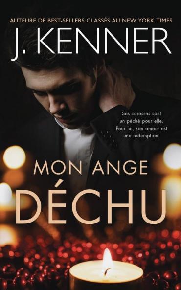 Mon ange dechu (La Serie de l'Ange Dechu)