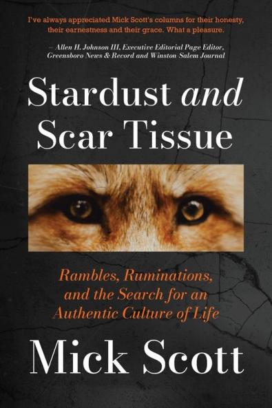 Stardust and Scar Tissue