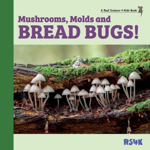 Mushrooms Molds and  Bread Bugs!