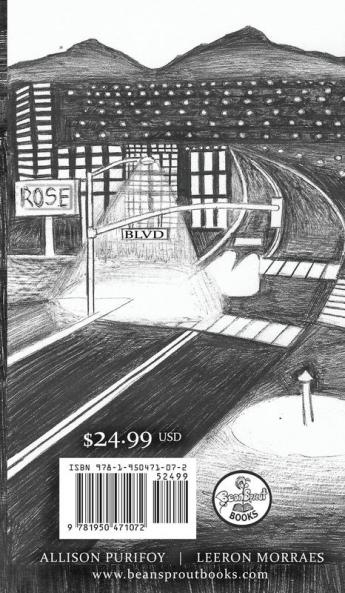 Intersection At Rose BLVD