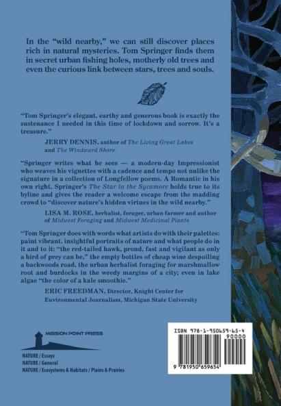 The Star in the Sycamore: Discovering Nature's Hidden Virtues in the Wild Nearby