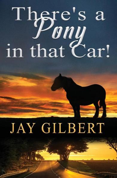 There's a Pony in that Car!