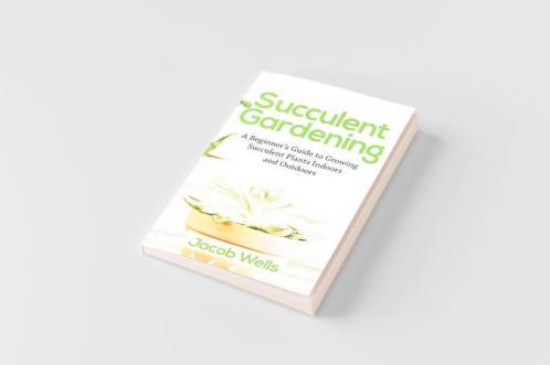 Succulent Gardening