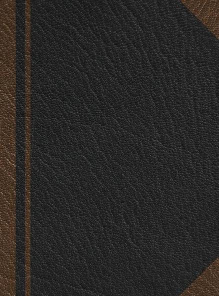 Notary Journal: Hardbound Public Record Book for Men Women Logbook for Notarial Acts 390 Entries 8.5 x 11 Black Brown Blank Cover