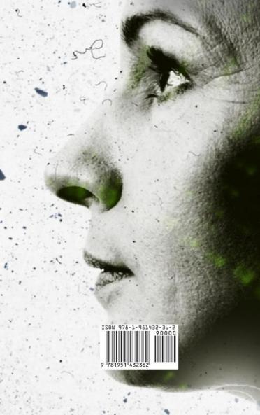 Bricks: A Technothriller: 3 (Halfskin)