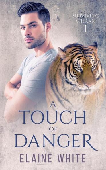 A Touch of Danger: 1 (Surviving Vihaan)