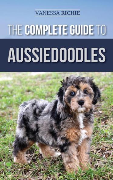 The Complete Guide to Aussiedoodles: Finding Caring For Training Feeding Socializing and Loving Your New Aussidoodle