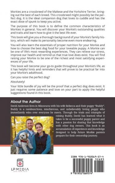 The Complete Guide to Morkies: Everything a new dog owner needs to know about the Maltese x Yorkie dog breed