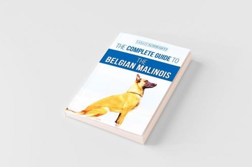The Complete Guide to the Belgian Malinois