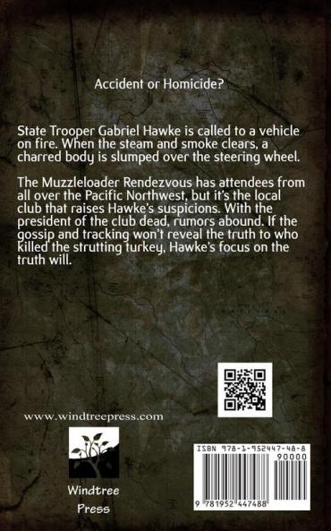 Turkey's Fiery Demise: Gabriel Hawke Novel: 6