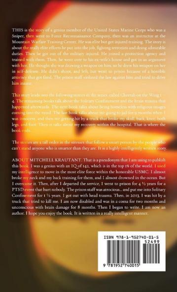 Cheetah On The Wing 1: Military History and Downfall: ONE