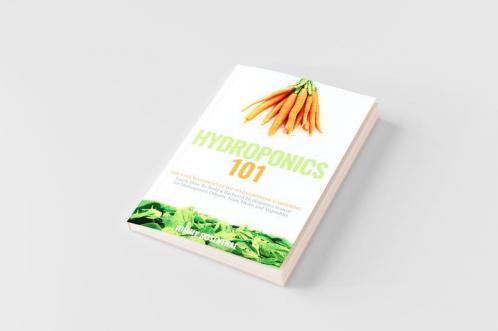 Hydroponics 101