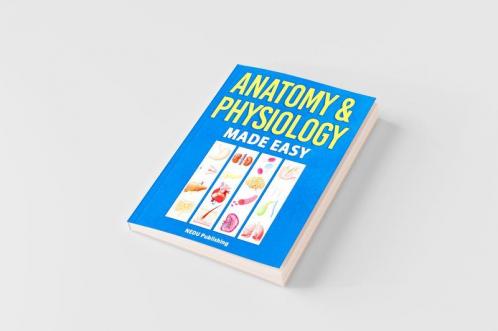 Anatomy & Physiology Made Easy