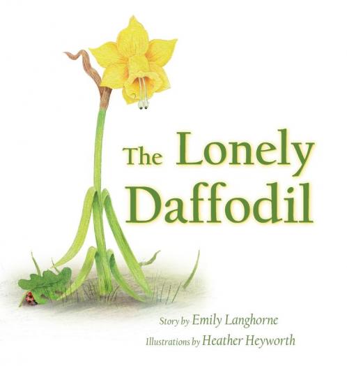The Lonely Daffodil