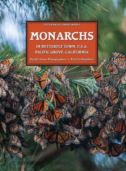MONARCHS In Butterfly Town U.S.A. Pacific Grove California