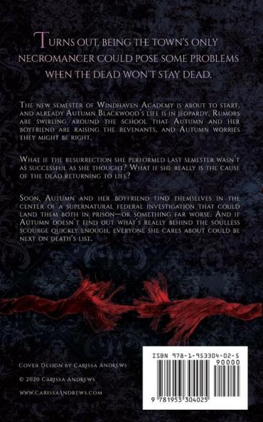 Soul Legacy: 2 (The Windhaven Witches)