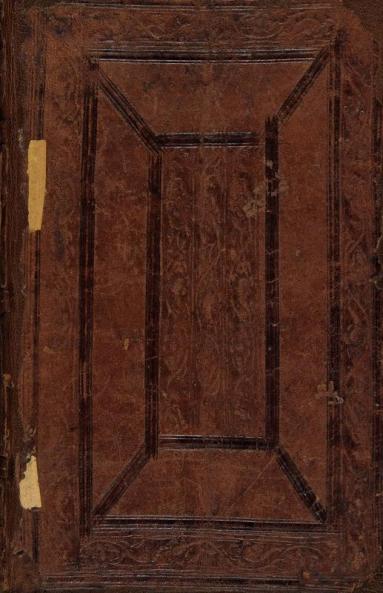 Bauman's Fight Book