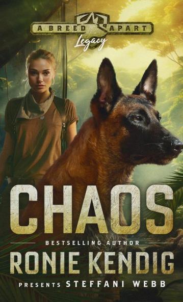 Chaos