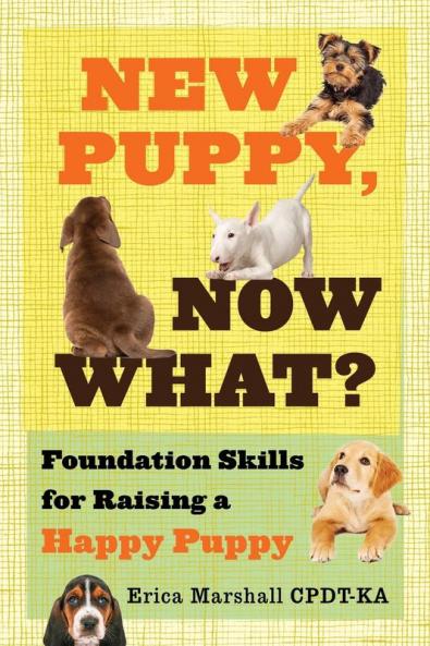 New Puppy Now What? Foundation Skills for Raising a Happy Puppy