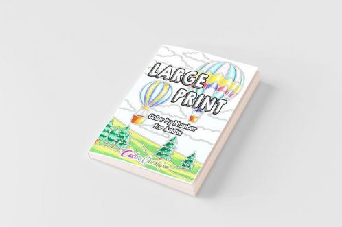 Large Print Color by Number for Adults
