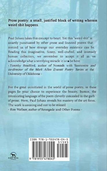 Ronin: Mostly Prose Poems